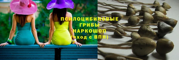 шишки Алексин