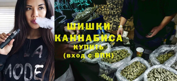 шишки Алексин