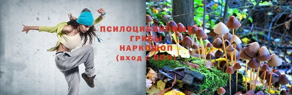 спайс Алексеевка