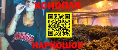 гашик Ливны