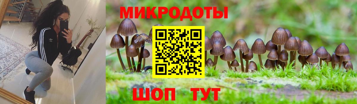 Псилоцибиновые грибы Magic Shrooms  Вход с VPN  хочу наркоту  Истра 