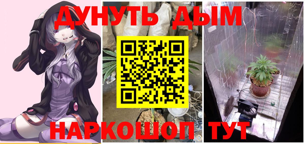 Шишки марихуана конопля  Канабис семена  Истра  Марихуана тримм  МАРИХУАНА конопля  Вход с VPN 